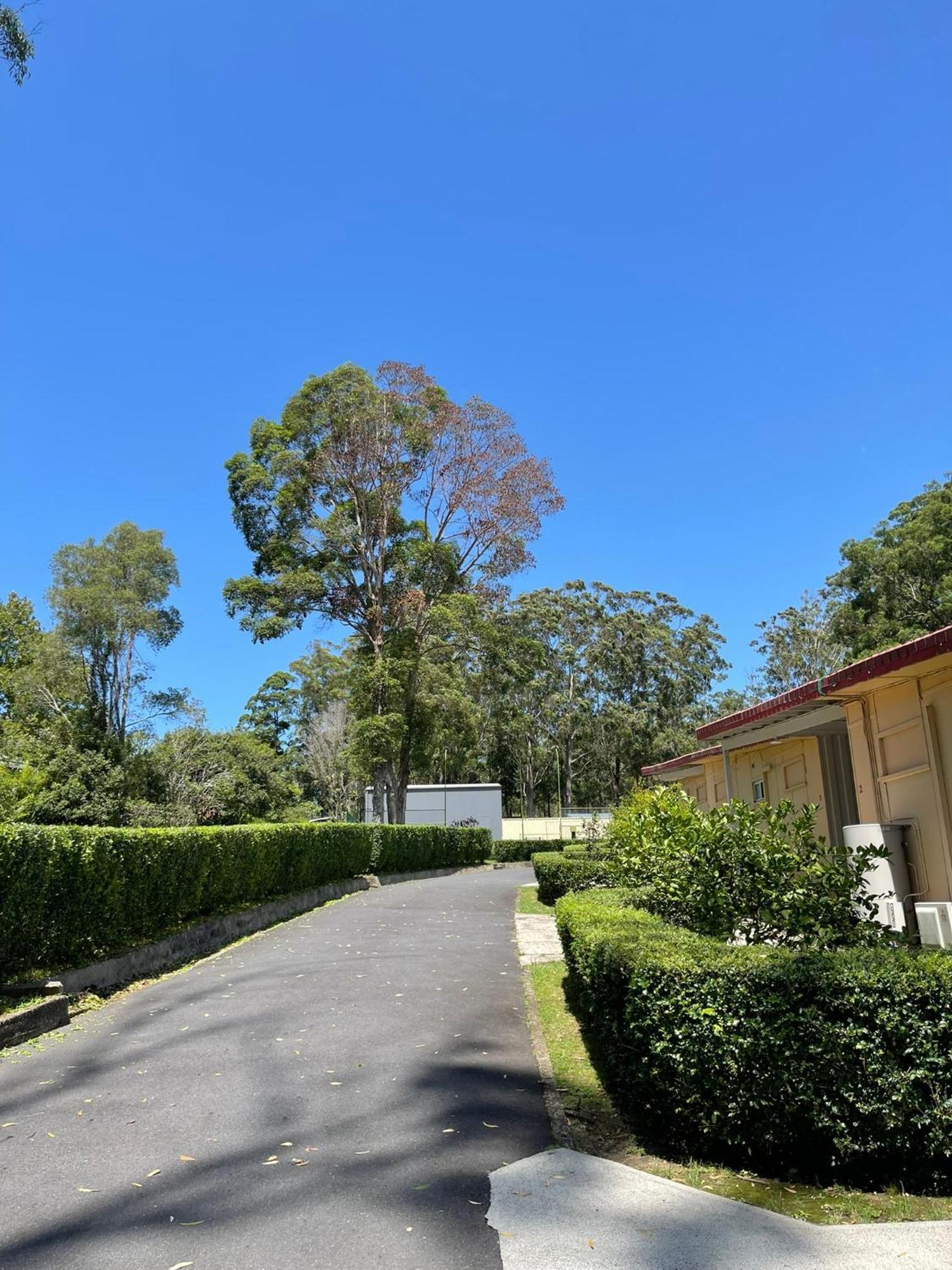 Major Innes Motel Port Macquarie Ngoại thất bức ảnh