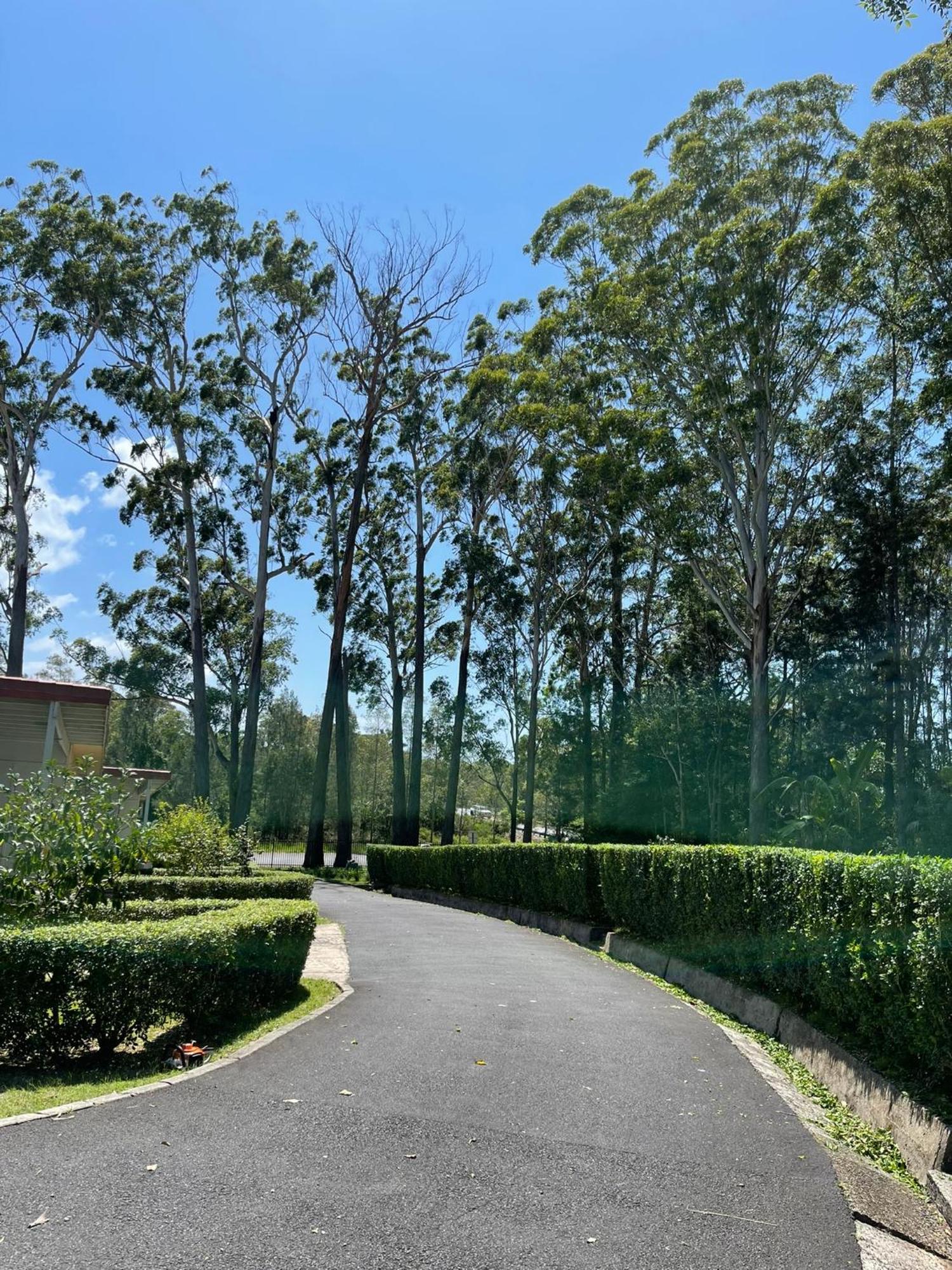 Major Innes Motel Port Macquarie Ngoại thất bức ảnh