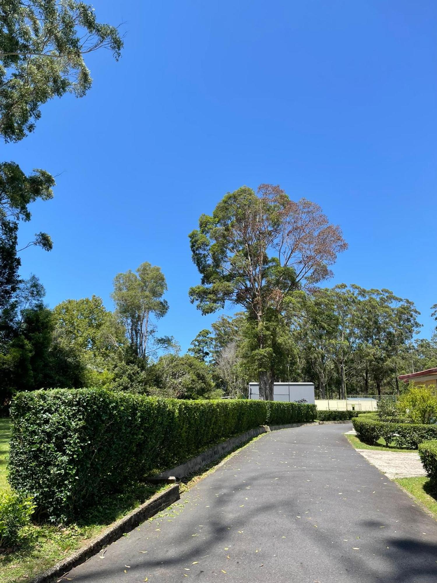 Major Innes Motel Port Macquarie Ngoại thất bức ảnh