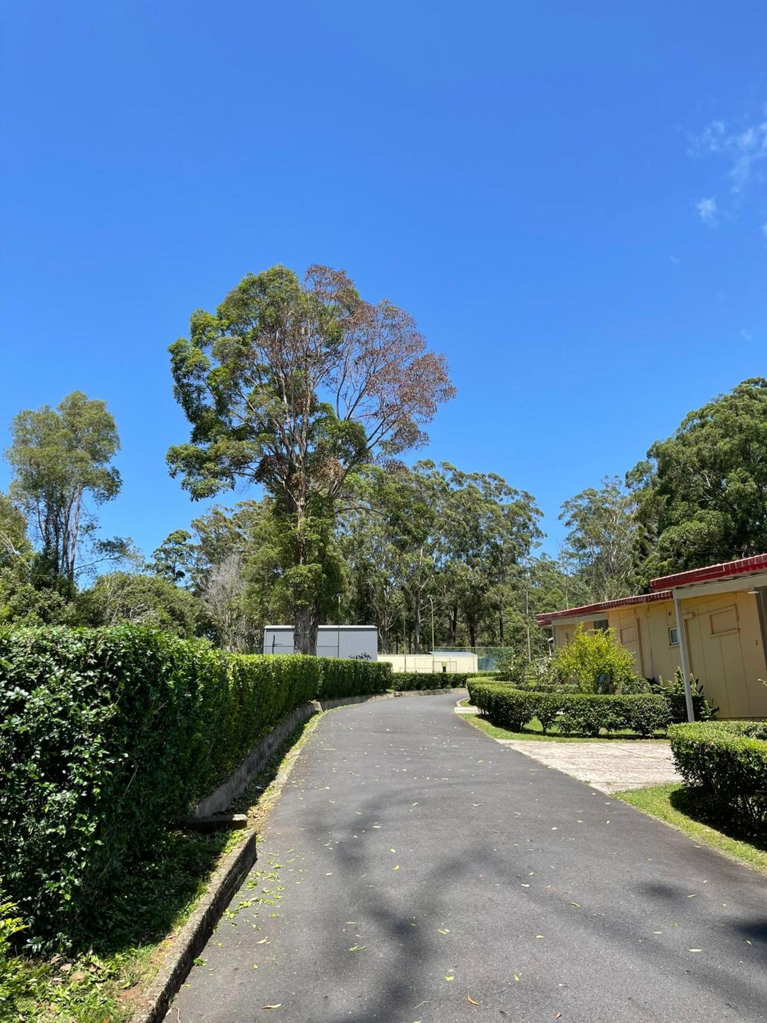 Major Innes Motel Port Macquarie Ngoại thất bức ảnh