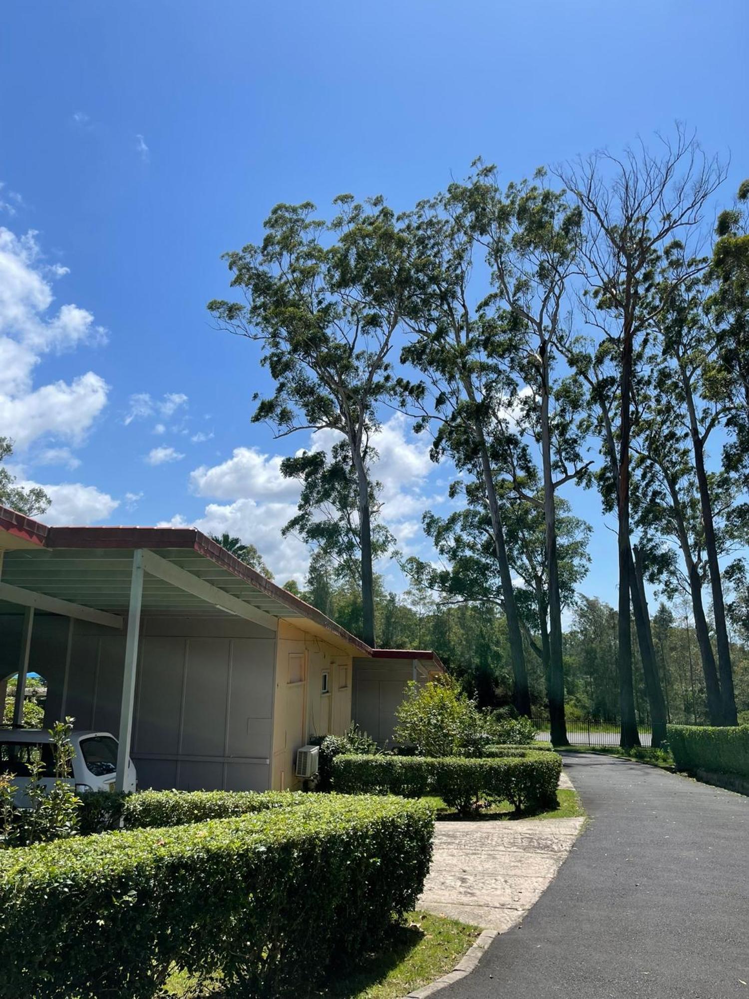 Major Innes Motel Port Macquarie Ngoại thất bức ảnh